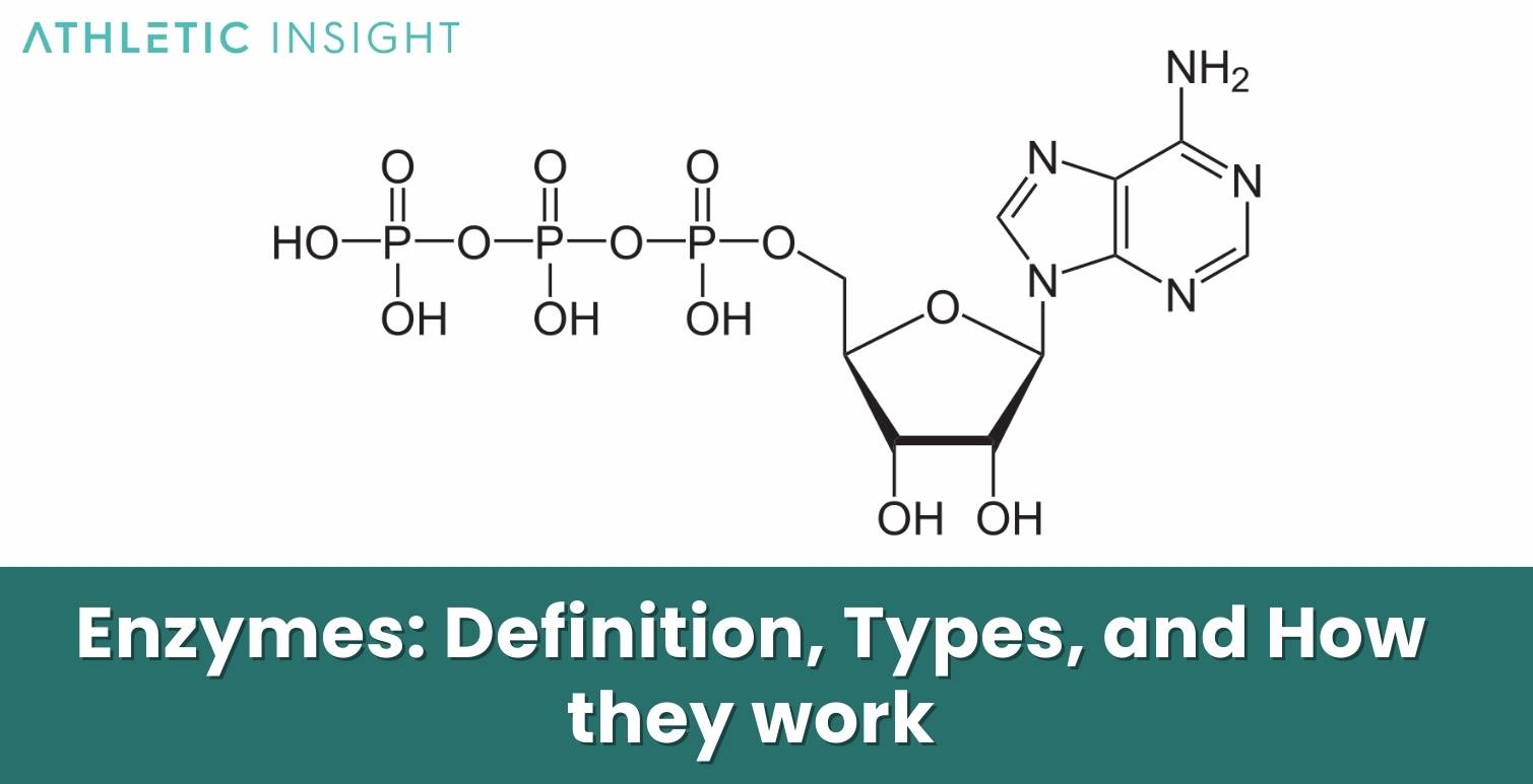 Enzymes