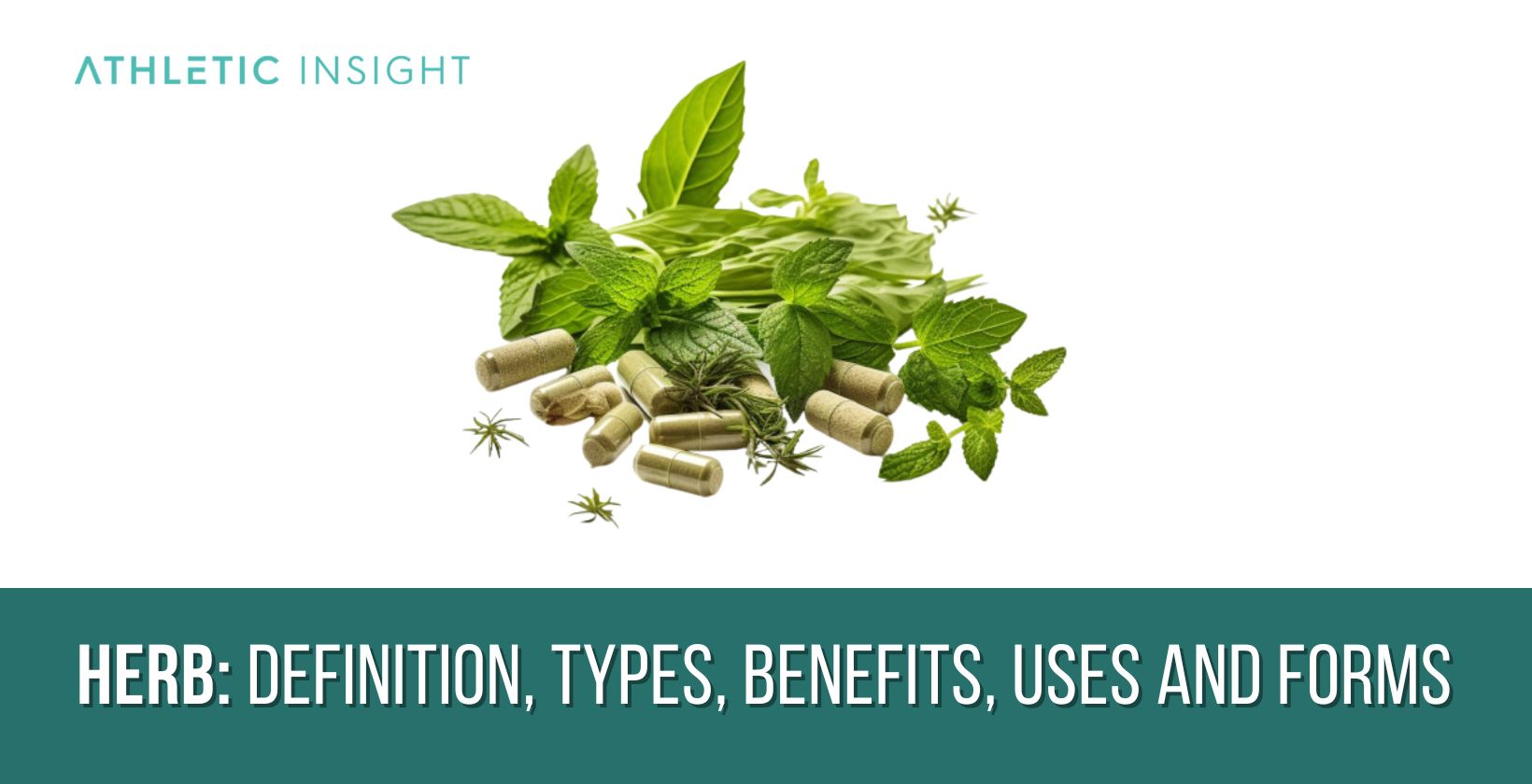 Herb: Definition, Types, Benefits, Uses and Forms