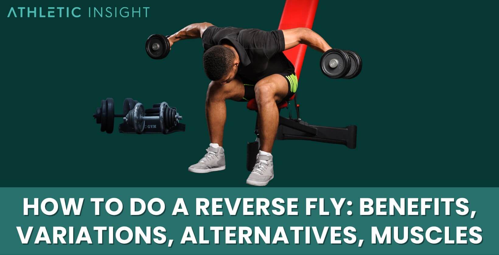 reverse-fly